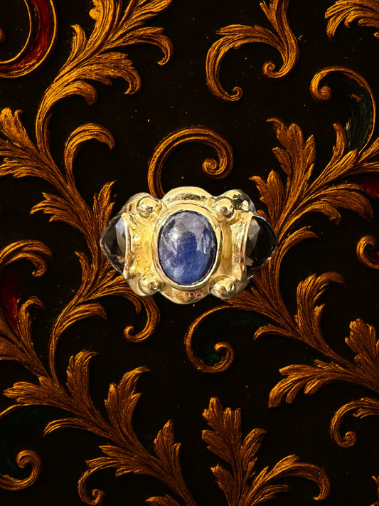 The Ring of the Sage